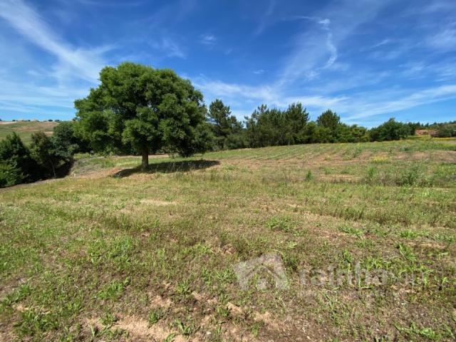 Terreno com 14.993 m2 Alvorninha, Caldas da Rainha
