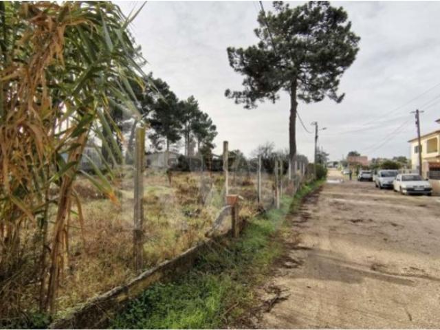 Terreno com 1506m2 para Construção