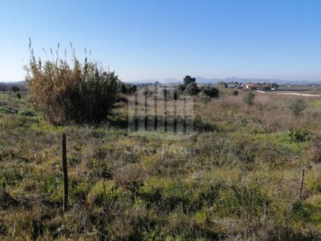 Terreno com 15000 m2