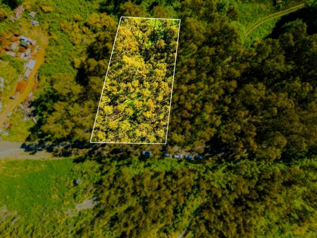 Terreno com 1510m2 Camacha