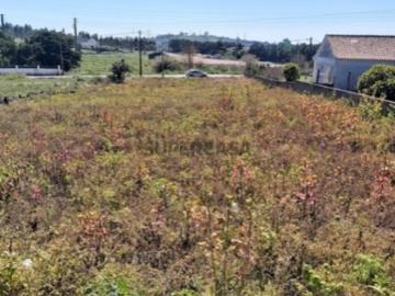 Terreno com 1595m2 em Lousa