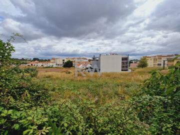 Terreno com 15.487 m2 para Construção no Cartaxo Santarém