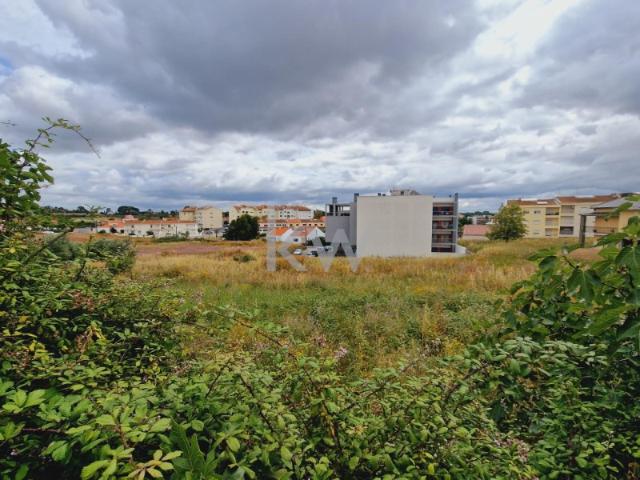 Terreno com 15.487 m2 para Construção no Cartaxo Santarém