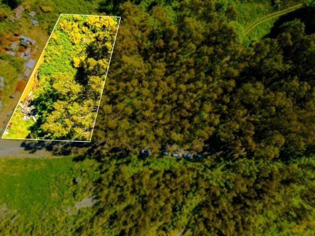 Terreno com 1660m2 e Duas frentes de estrada Camacha