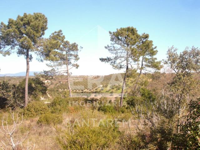 Terreno com 16.440m2