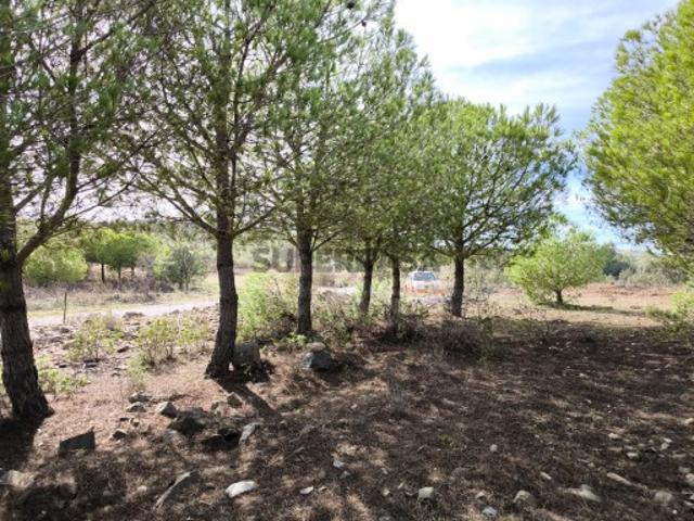 TERRENO COM 16.000 M2 PLANO ELETRICIDADE TORNEIRO EM ALCOUTIM ALGARVE