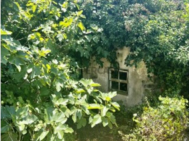 Terreno com 1501 m2 com ruina bem localizado na Rua Miguel Medeiros, 9, Mafra