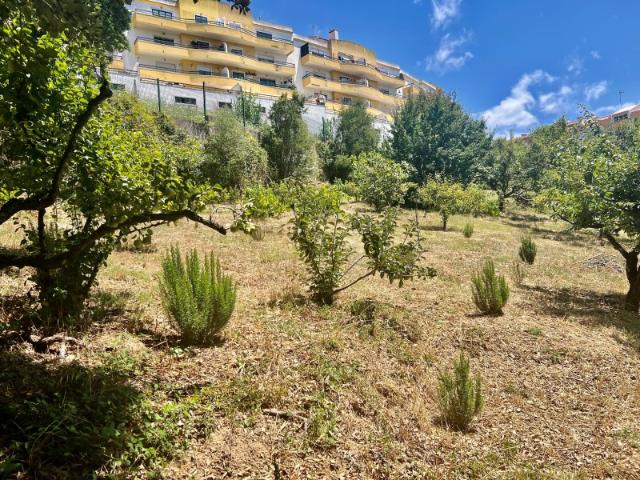 Terreno com 1501 m2 com ruina bem localizado na Rua Miguel Medeiros, 9, Mafra