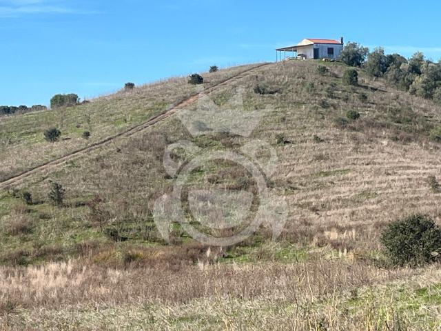 Terreno com 184500m2 em Ervidel