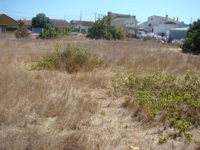 Terreno de 1842 m2, en Quinta do Anjo