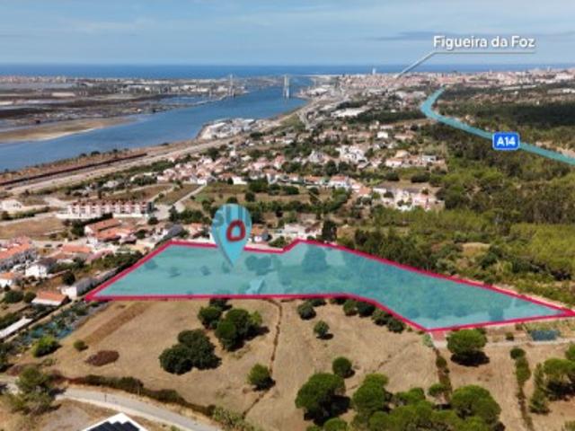 Terreno com 18.000 m² para Atividades Económicas e Industriais Fontela, Figueira da Foz