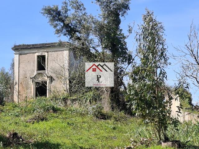 Terreno com 197.276 m² 2 Artigos Urbanos + 1 Rústico Próximo de Coimbra