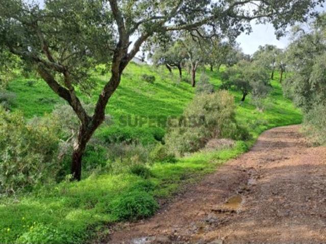 Terreno com 19990 m2 com área total de construção de 1587.62m2