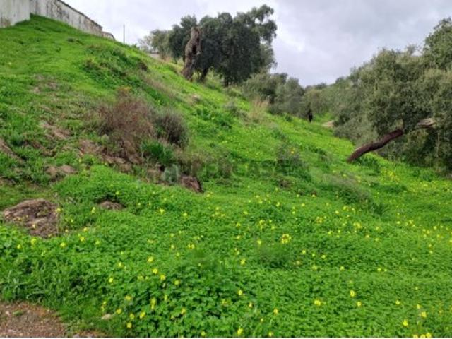 Terreno com 19990 m2 com área total de construção de 1587.62m2