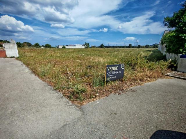 Terreno com 19.500 m2 Vale de Touros, Palmela