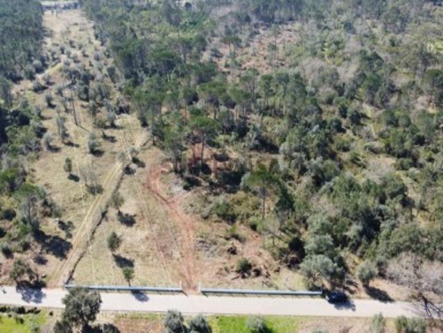 Terreno com 19.130 m² e frente de estrada Orelhudo, Cernache | A poucos minutos de Coimbra