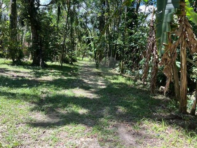 Terreno com 1 quartos à venda em Boraceia SP