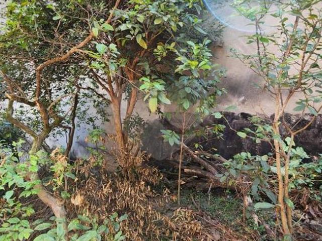 Terreno com 1 quartos à venda em Centro SP