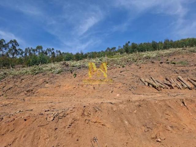 Terreno com 1.000,00 m2 de área, localizado no Bairro do Moinho Nazaré Paulista/SP