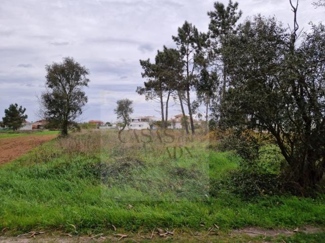 Terreno com 1.372 m² na Carregosa Ouca Vagos