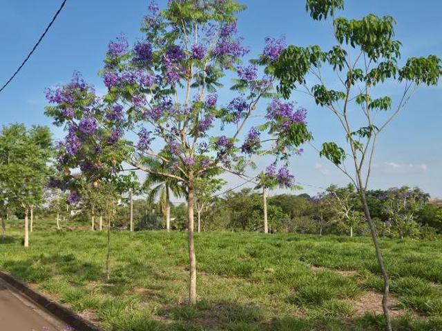 Terreno com 1.570 m2 no Condomínio Euroville Cajobi