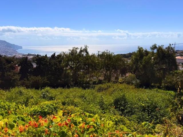 Terreno com 1.607 m2 para construção no Funchal