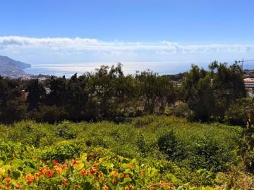 Terreno com 1.607 m2 para construção no Funchal