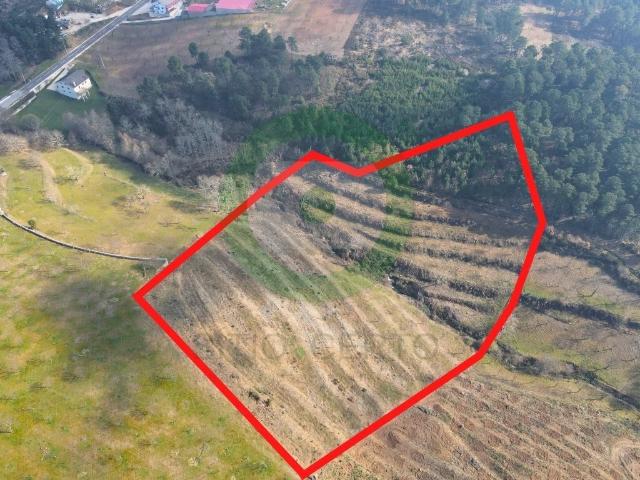 Terreno com 1,8 hectares em São João de Corveira