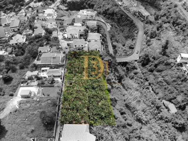 Terreno com 1.951 m² e vista mar, anteprojeto para 4 moradias São Gonçalo, Funchal