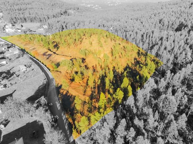 Terreno com 23.000 m2 em Igreja Nova Barcelos