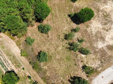Terreno com 2020m2 para construção em Carnide