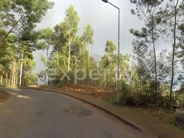 Terreno com 2060m2 com capacidade construtiva em Gaula, Madeira