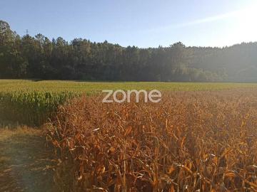 Terreno com 20.655m2 e Ruína com 452m2 em Covelas Trofa