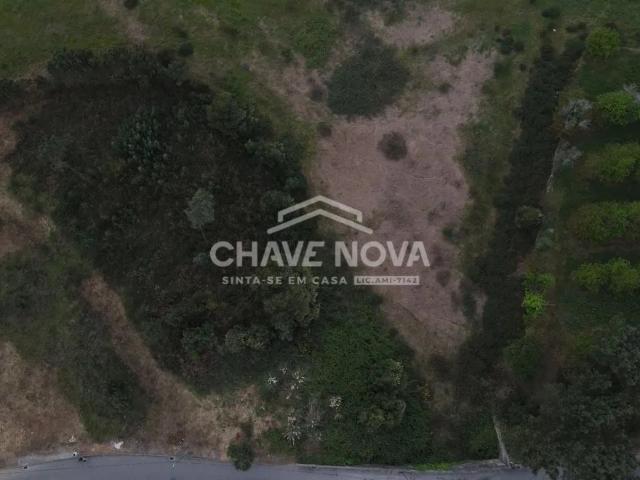 Terreno com 20.000m2 em Crestuma