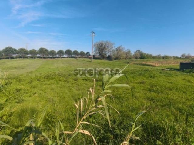 Terreno com 2100m2 para construção na Maceira