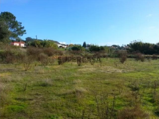 Terreno com 21800m2 em Santa Eufémia