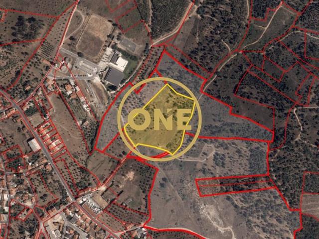 Terreno com 21.960 m² e viabilidade construtiva | Vila Nova da Barquinha