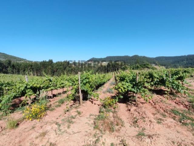 Terreno com 21 hectares Mafra