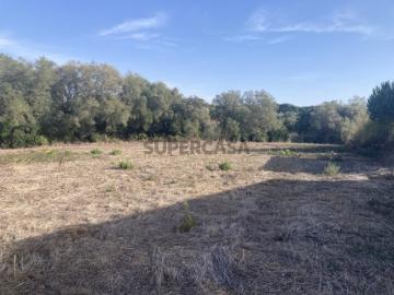 Terreno com 2250m2 para construção de 900m2 Sesimbra