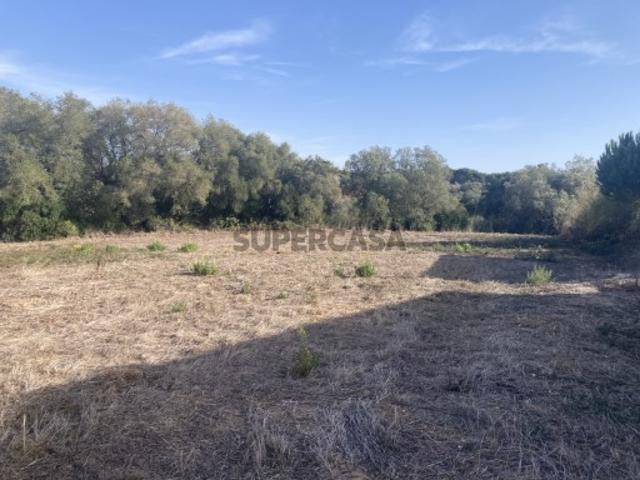 Terreno com 2250m2 para construção de 900m2 Sesimbra