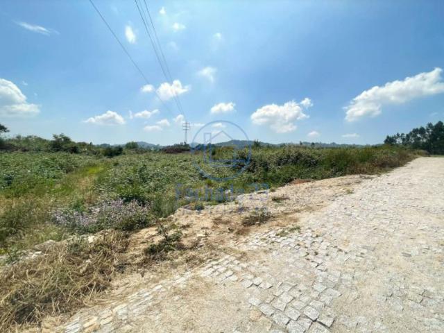 Terreno com 22.442 m² em Paredes – Excelente oportunidade de investimento