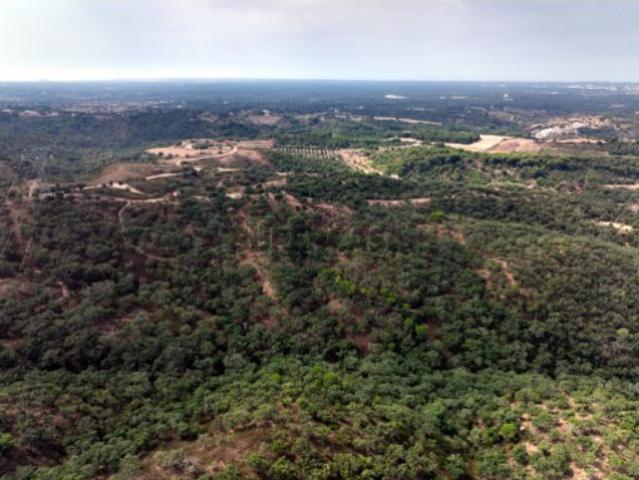 Terreno com 22,5 hectares em Santa Cruz, Santiago do Cacém