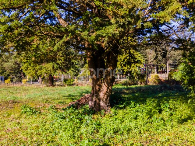Terreno com 22.000 m² em frente ao entroncamento com a A28 de Antas, Esposende