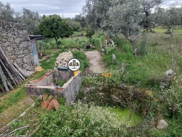 Terreno com 2375m2 com casa, Venda, Povoa de Rio Moinhos