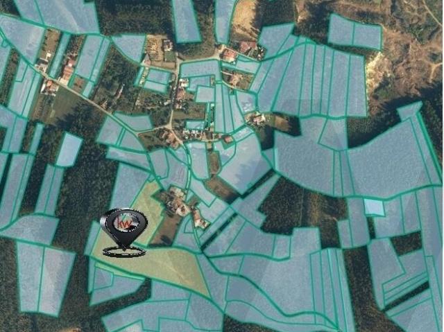 Ativo Imobiliário | Terreno 2,7 ha com Potencial Urbanístico | Águeda