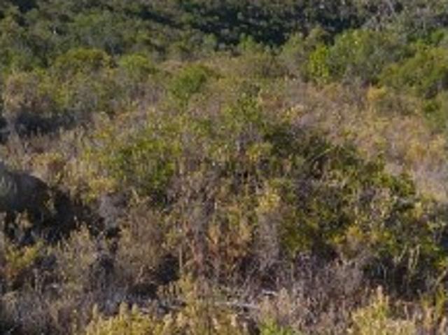 Terreno com 2400 m2 e vista mar