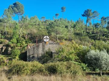 Terreno com 2400m2 com lagar, Venda, Orvalho, Castelo Branco