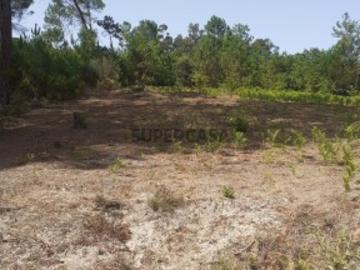 Terreno com 2500m2