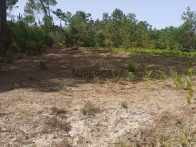 Terreno com 2500m2