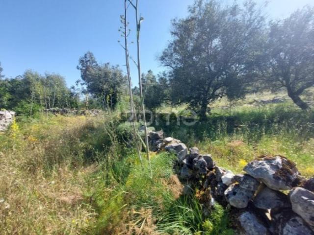 Terreno com 2500m2 a 10m de Fátima e 15 m da Batalha